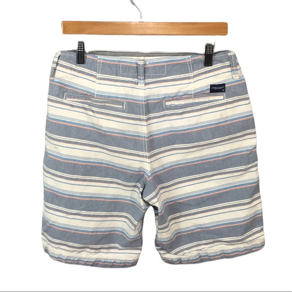 American Eagle Outfitters Blue and White Striped Men's Shorts - Picture 3 of 4